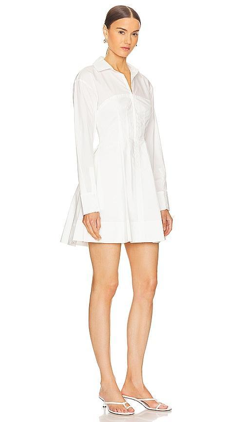 Carolyn Bustier Mini Dress SIMKHAI Product Image