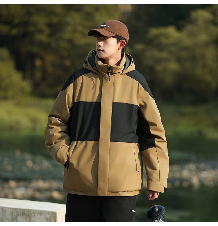 Stand Collar Panel Hood Zip Puffer Jacket Product Image
