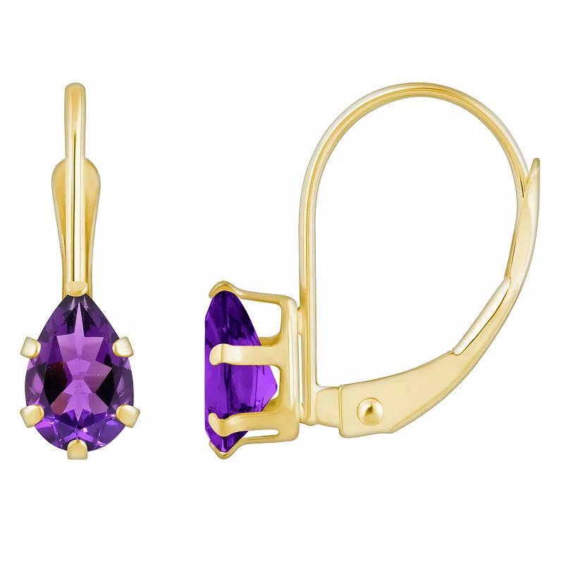 Celebration Gems 10k Gold Pear Shape Amethyst Leverback Earrings, Womens Product Image
