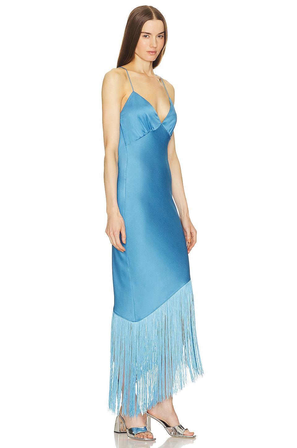 Haverine Fringe Maxi Dress SAYLOR Product Image