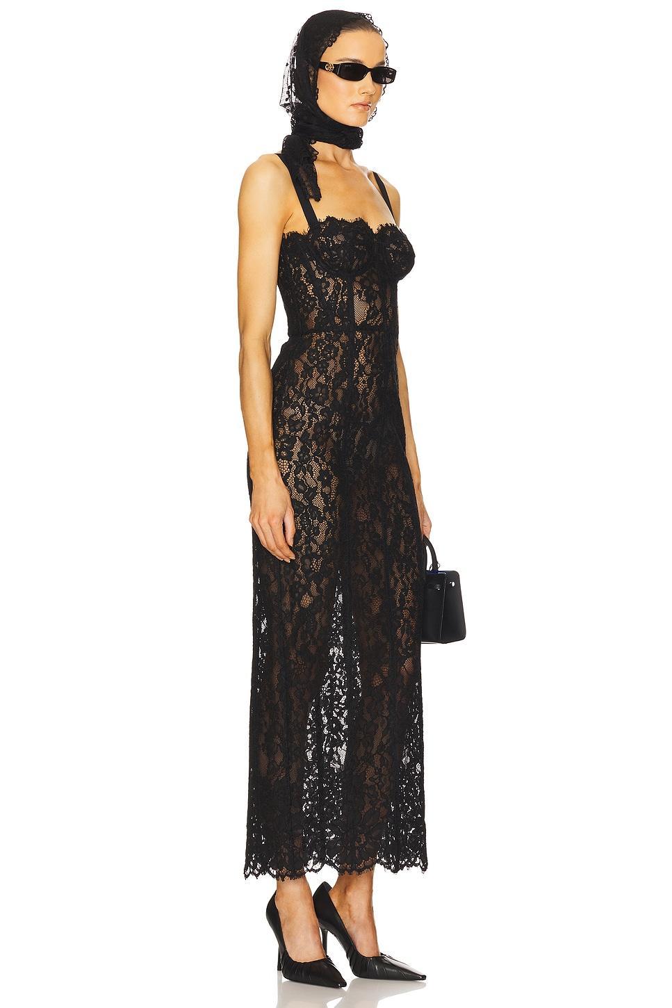 The Lace Column Dress Helsa Product Image
