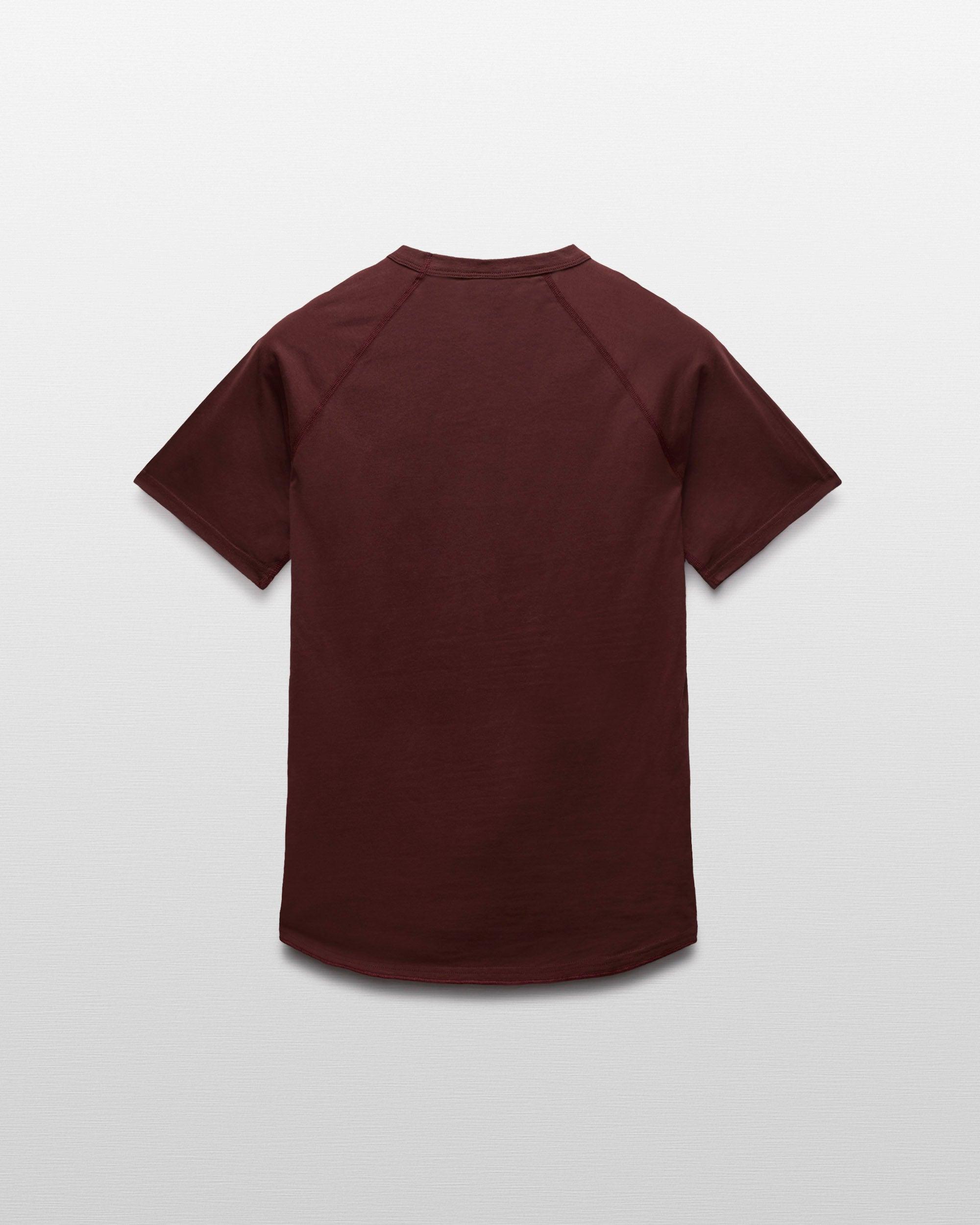 Lightweight Jersey Raglan T-Shirt - Vault Male Product Image