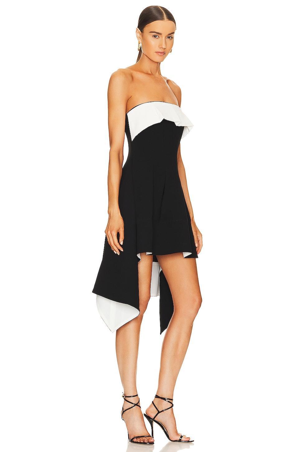 Lennox Mini Dress L'Academie Product Image