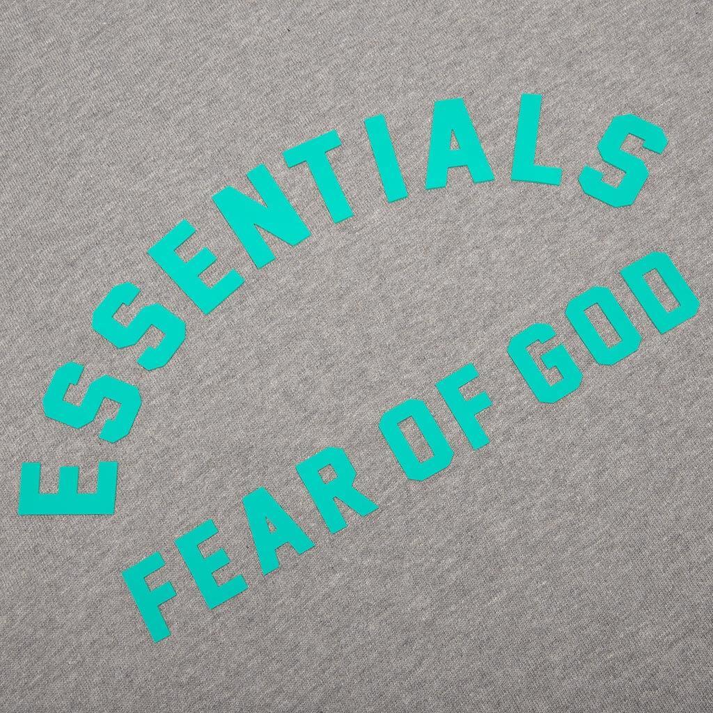 Heavy Jersey L/S Tee - Dark Heather Oatmeal Male Product Image