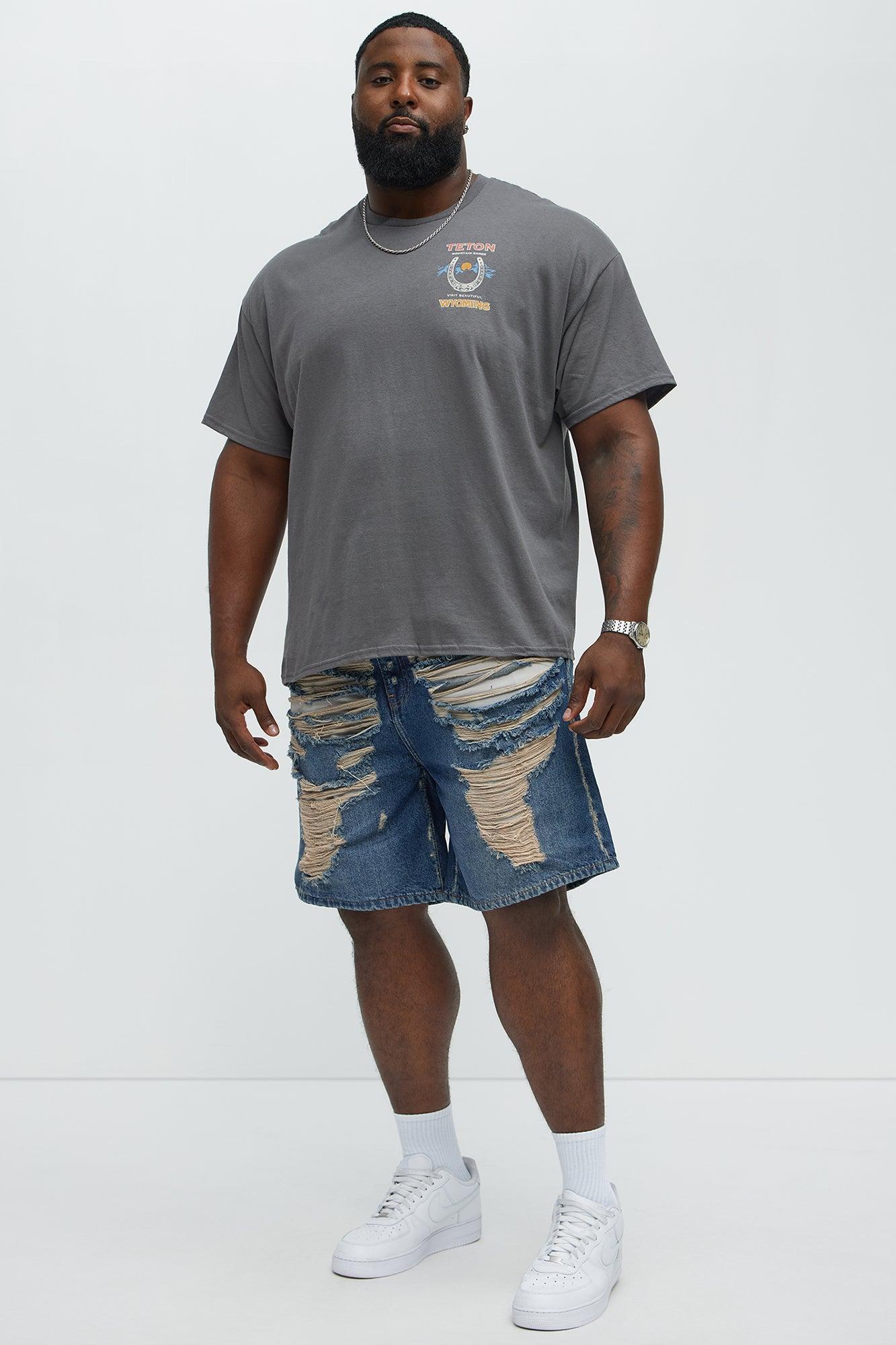 Teton Mountain Range Short Sleeve Tee - Charcoal Male Product Image