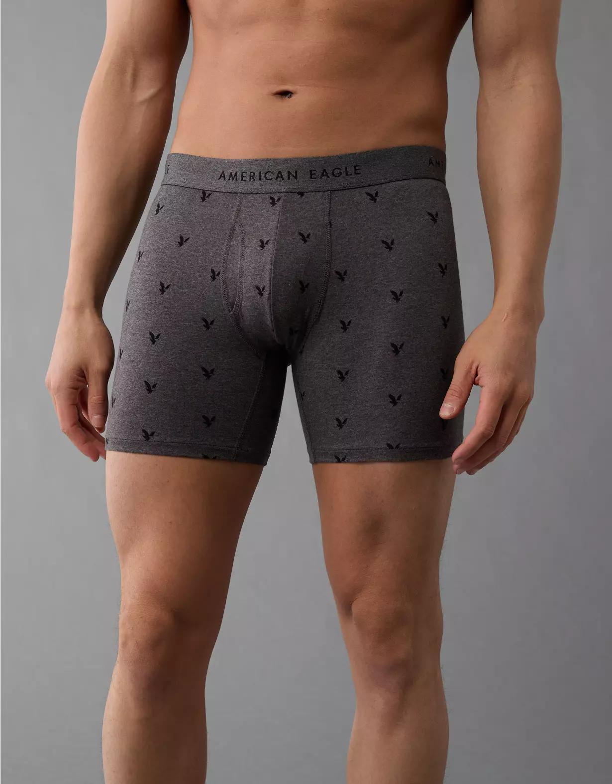 AEO Men's Tiny Eagles 6" Classic Boxer Brief Product Image