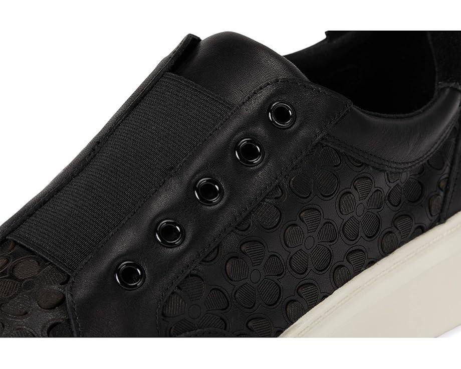 Lomma Product Image