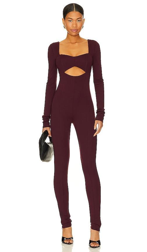 Tanya Jumpsuit Product Image