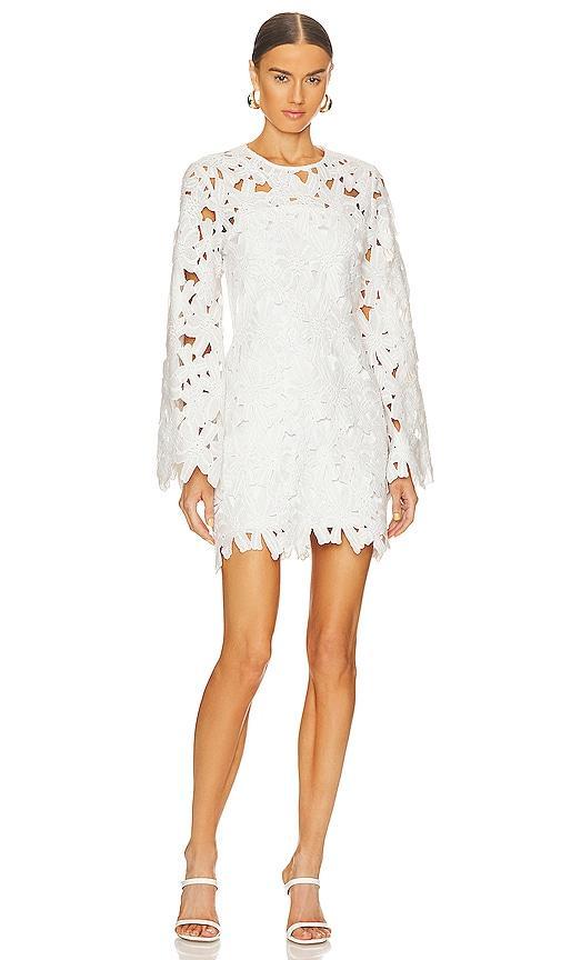 Celia Short Dress ROCOCO SAND Product Image