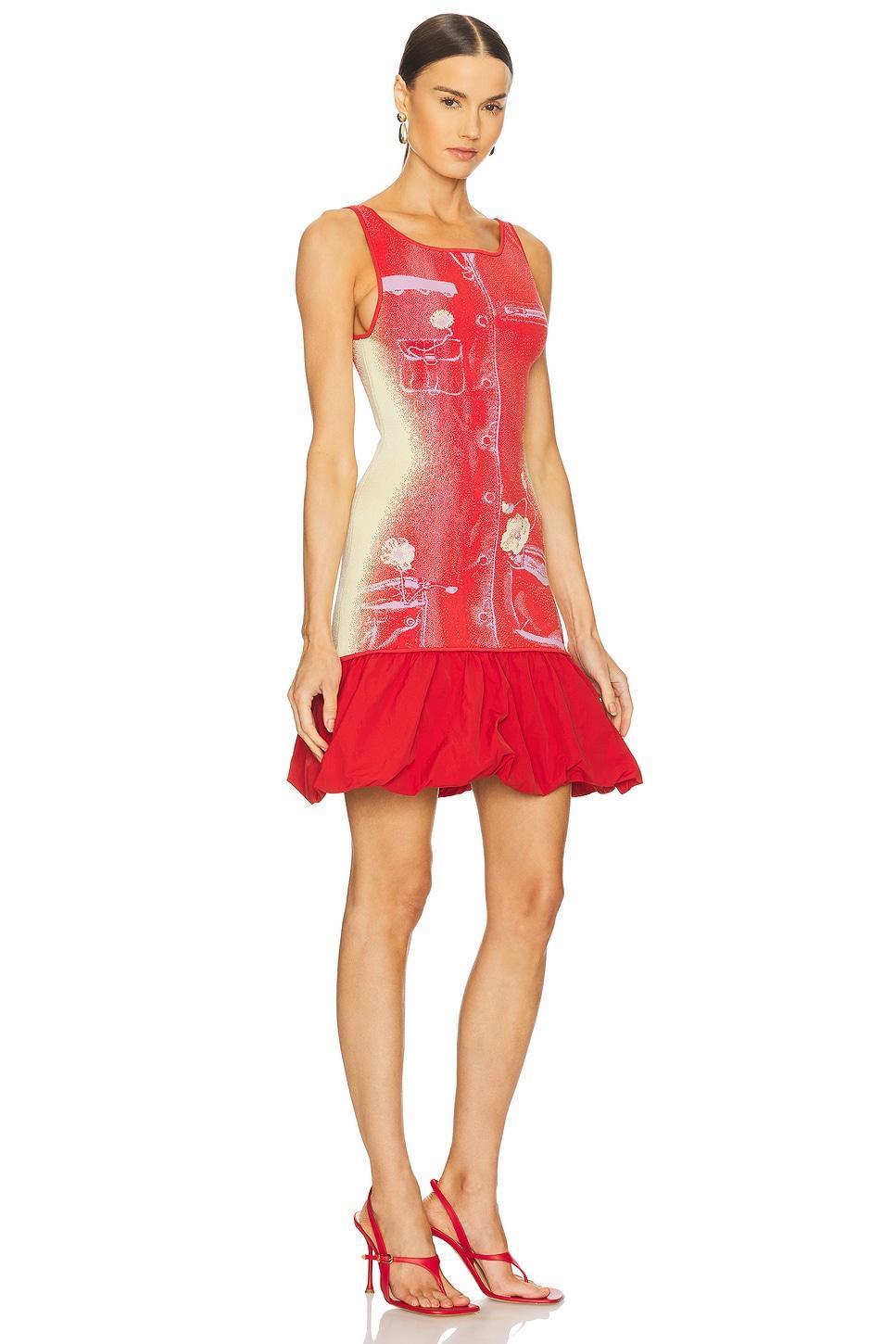 Daphne Reversible Tank Dress PH5 Product Image