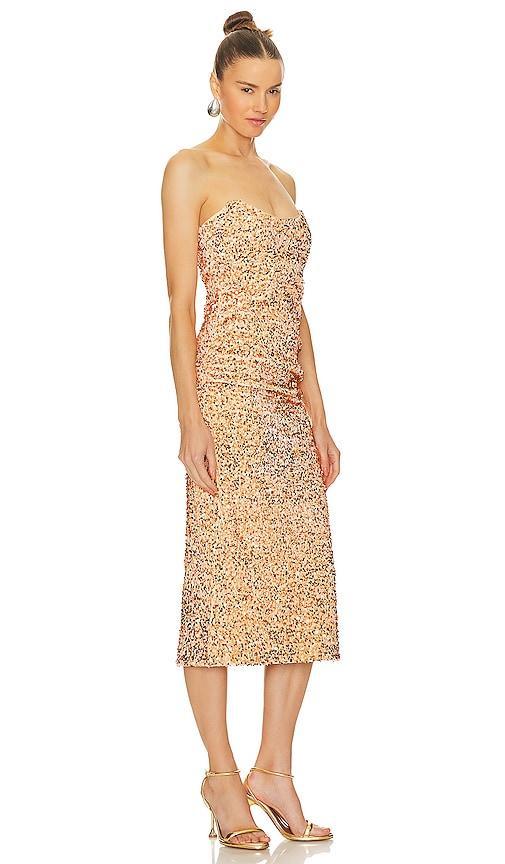 Natalina Dress Product Image