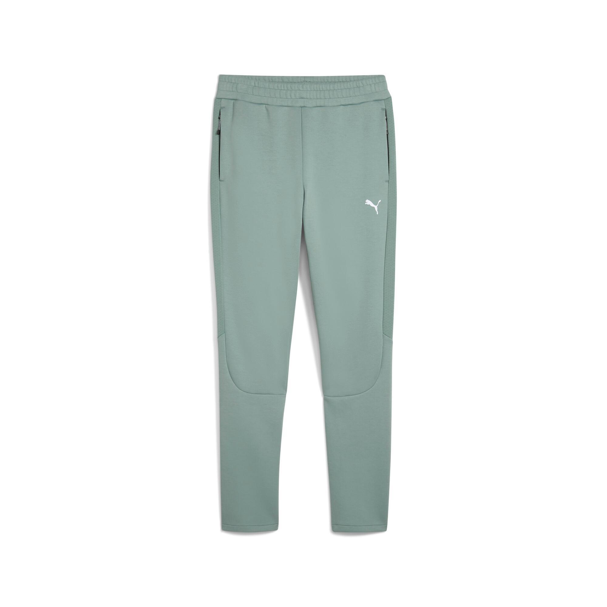 EVOSTRIPE Men's Pants Product Image