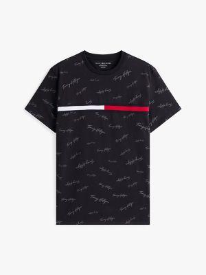 Signature Flag Stripe Logo T-Shirt Product Image