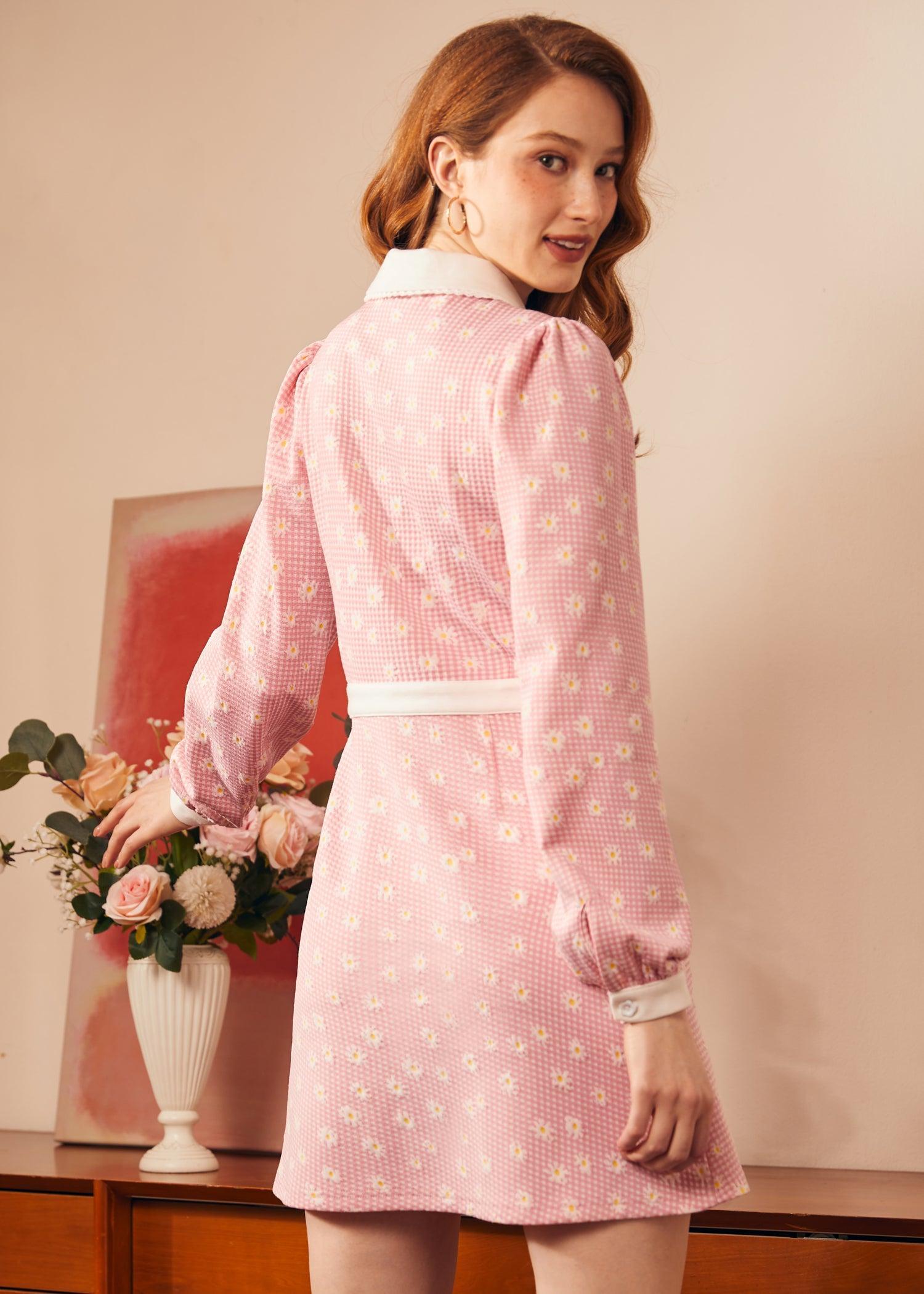 Joyful Journey Dress Product Image