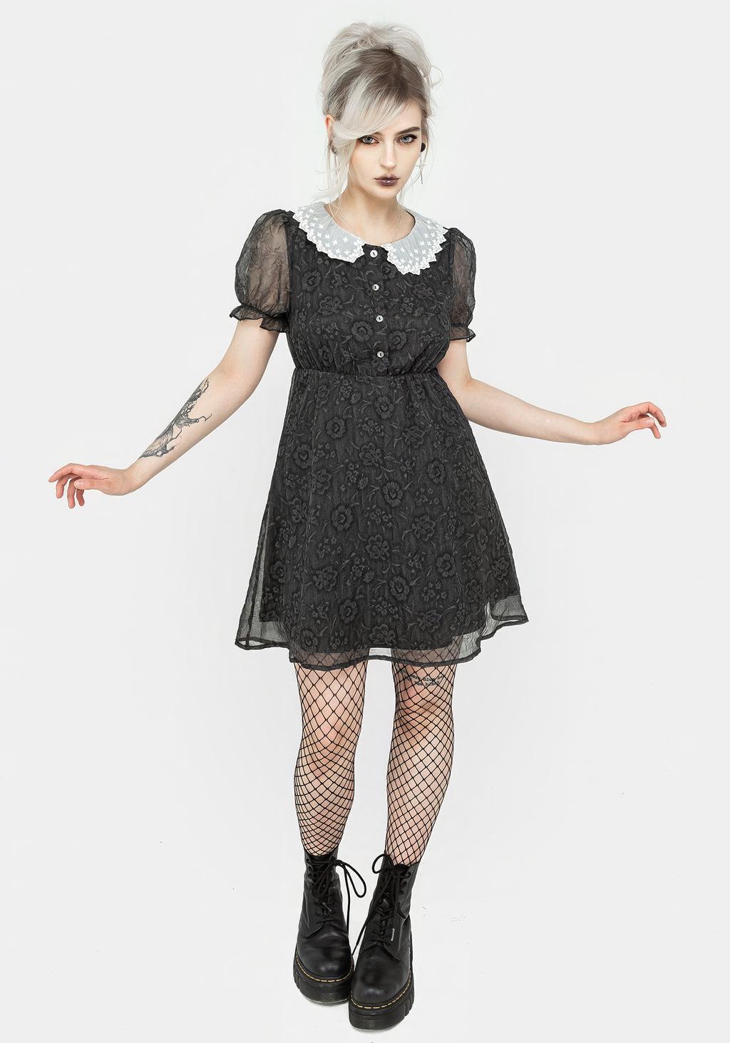 Phantasma Lace Collar Mini Dress Product Image