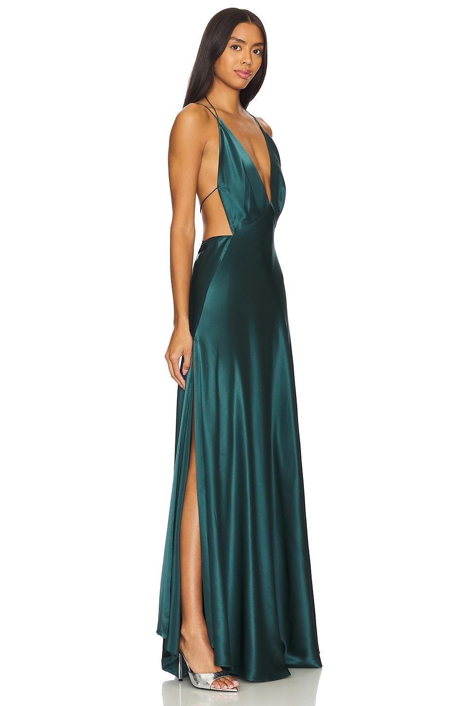 Tash Silk Maxi Dress Product Image