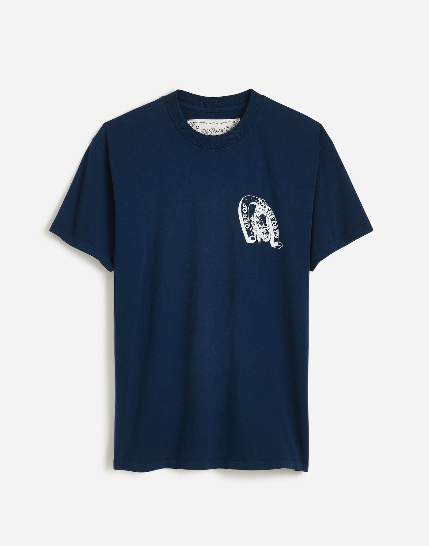 One of These Days Lucky Number 73 Graphic Tee Product Image
