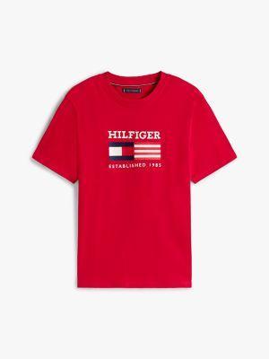 Lightweight Jersey Standard Raglan T-Shirt Male Product Image