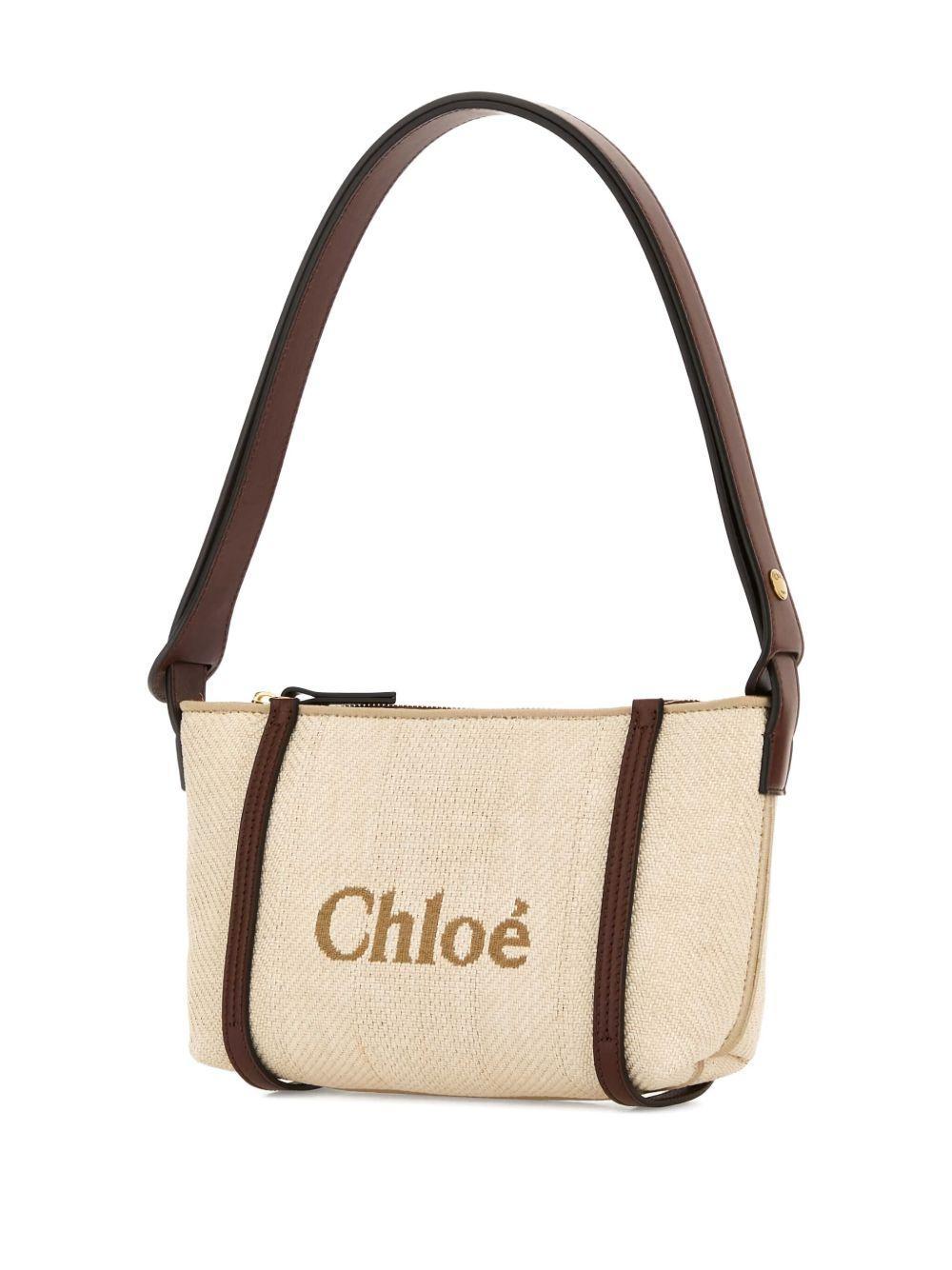 Carry shoulder bag Product Image