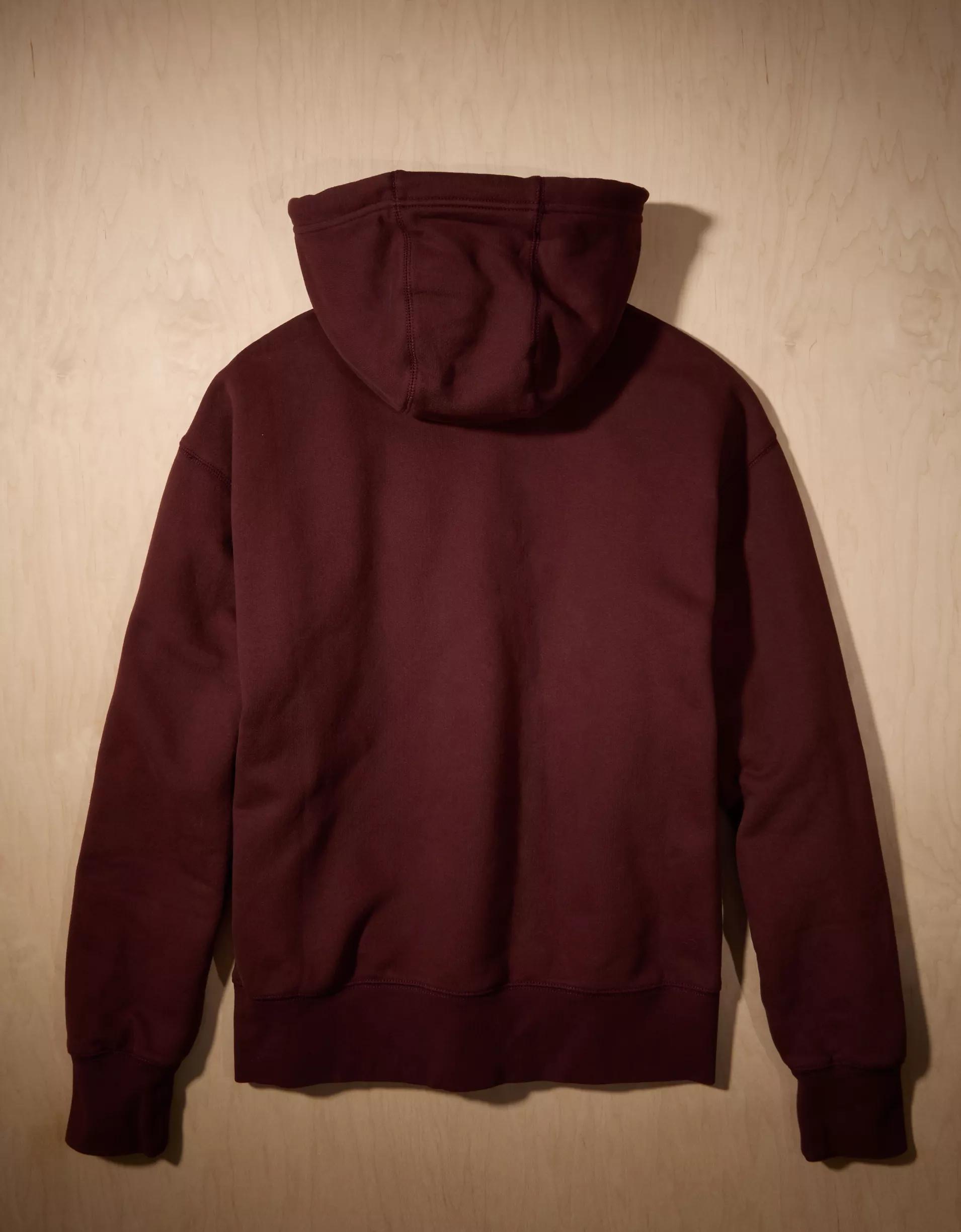 AE x Tru Kolors Heavyweight Graphic Hoodie Product Image