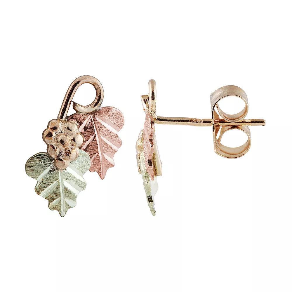 Black Hills Gold Tri-Tone Leaves & Grapes Stud Earrings, Women's Product Image