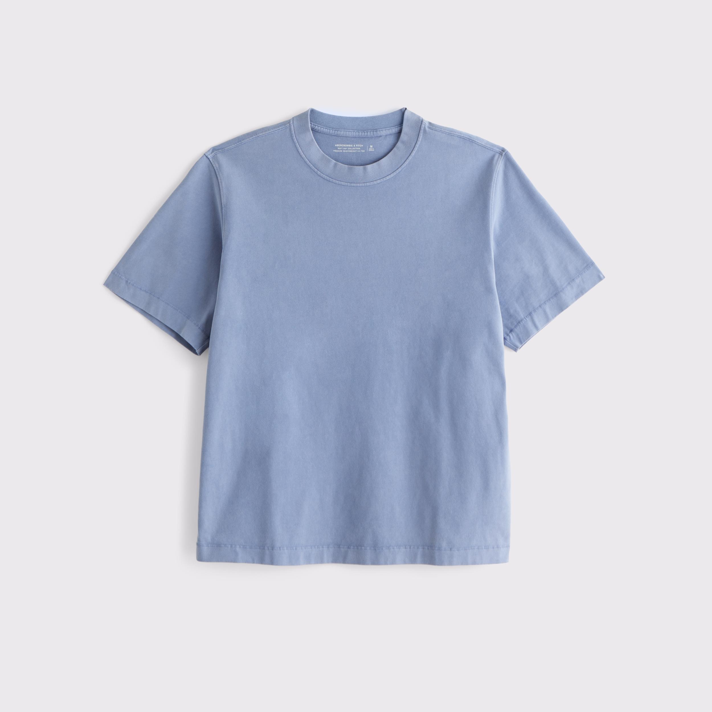 Premium Heavyweight 2.0 Tee Product Image