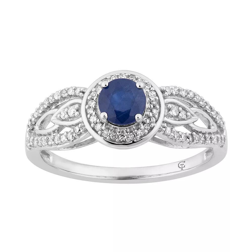 10k White Gold Sapphire & 1/4 Carat T.W. Diamond Halo Ring, Women's, Size: 7, 10k Whgold Product Image
