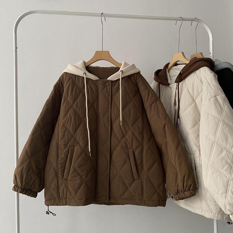 Hooded Quilted Zip Jacket Product Image