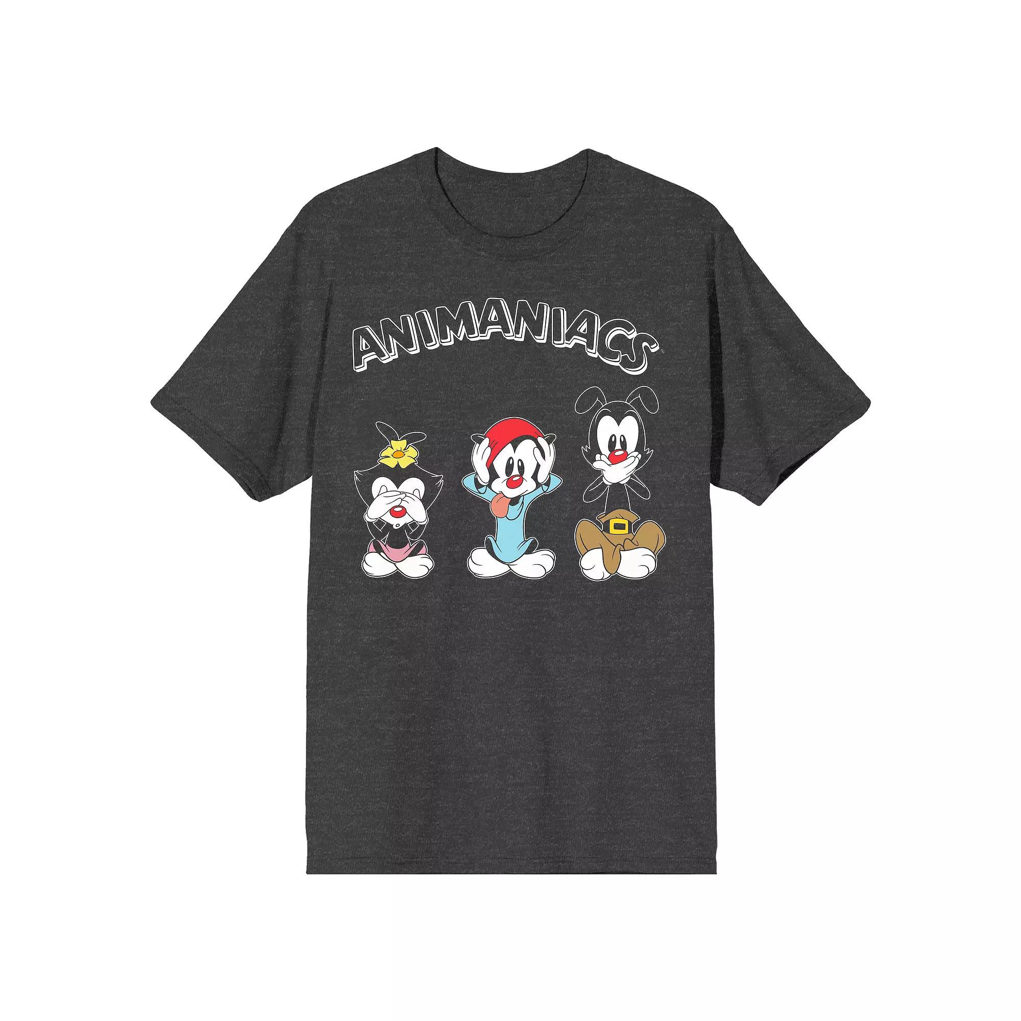 Men's Animaniacs Siblings Graphic Tee, Size: Large, Gray Product Image