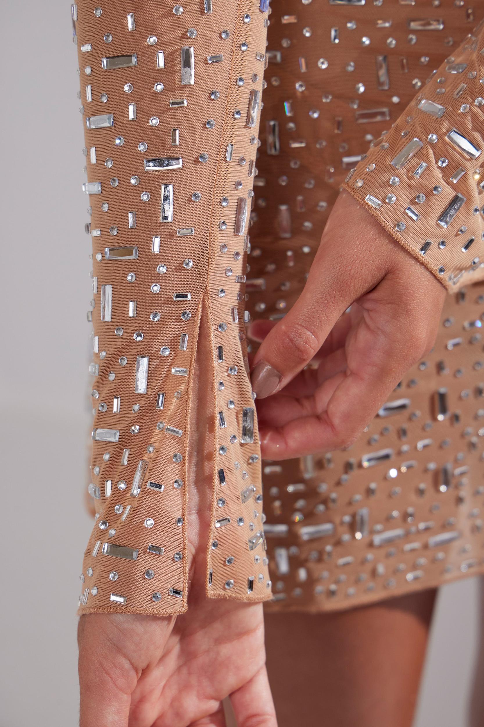 Sheer Embellished Long Sleeve A-Line Mini Dress in Almond Product Image