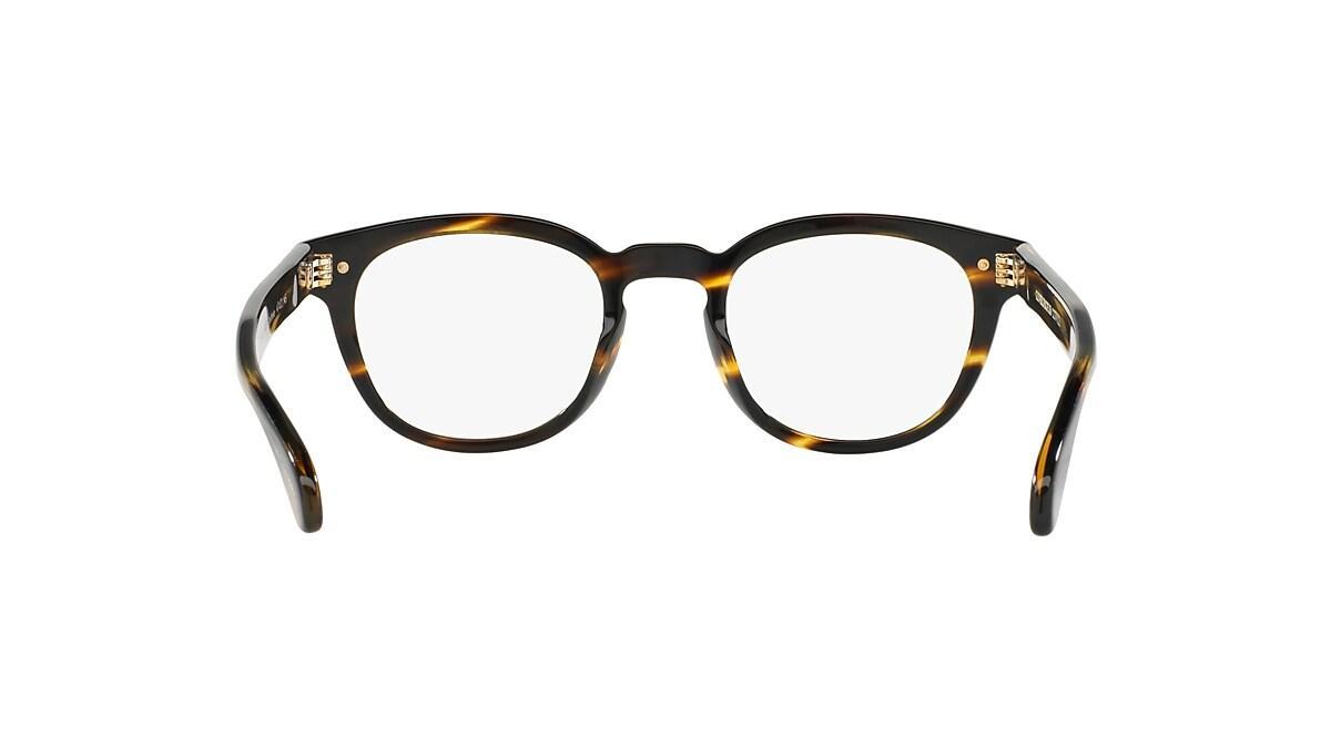 Sheldrake 0OV5036__1003L Product Image