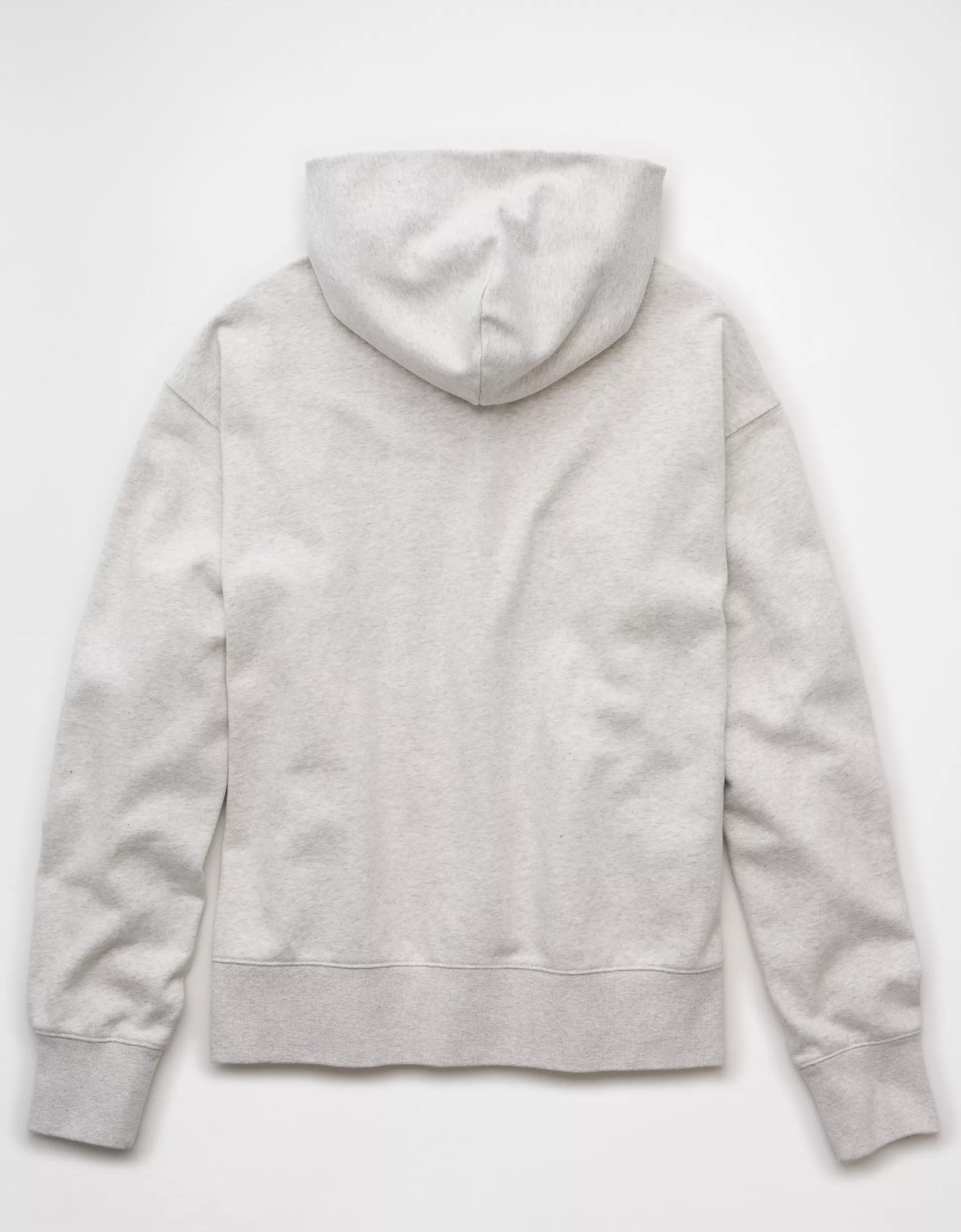 AE Laidback Luxe Heavyweight Hoodie Product Image