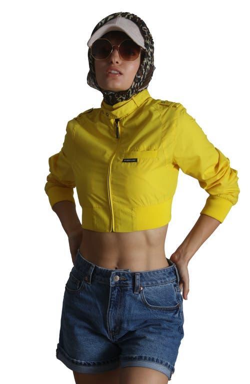 Members Only Women's Mini Cropped Racer Jacket in Black at Nordstrom, Size X-Large Product Image
