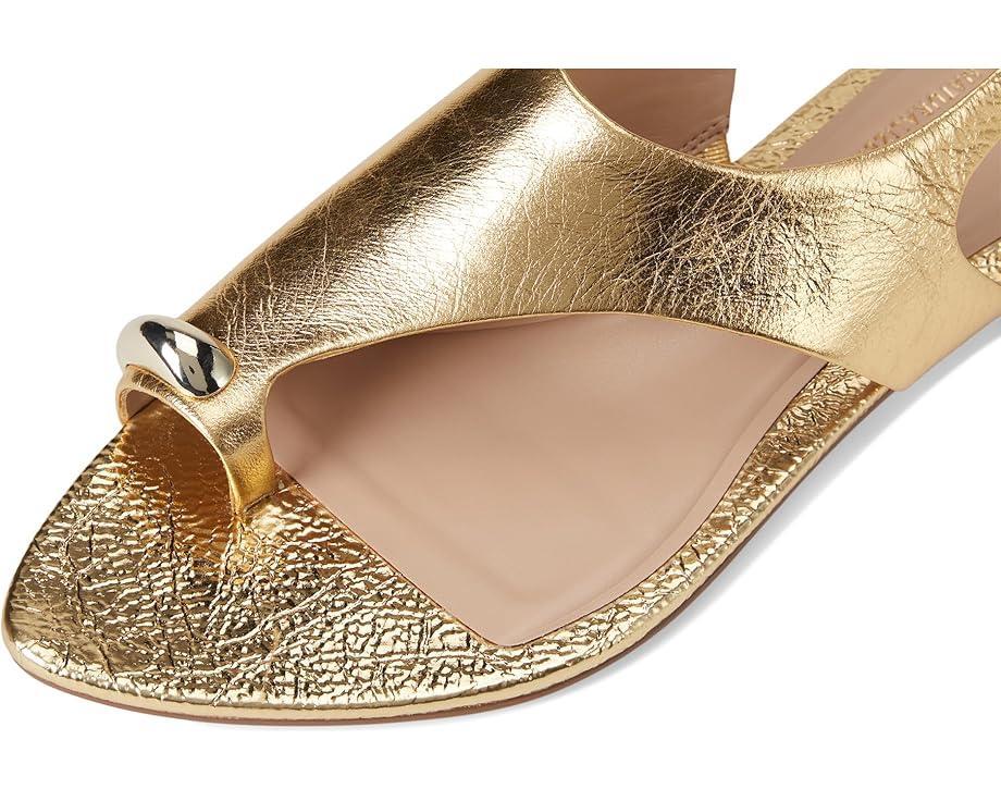 Lenni Banded Buckle Flat Sandals Product Image