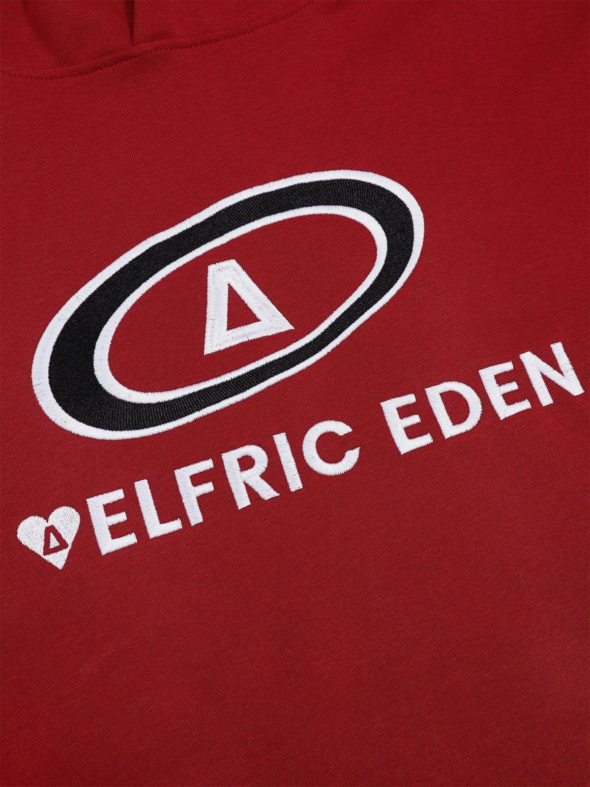 Aelfric Eden Color Blocking Embroidery Hoodie Product Image