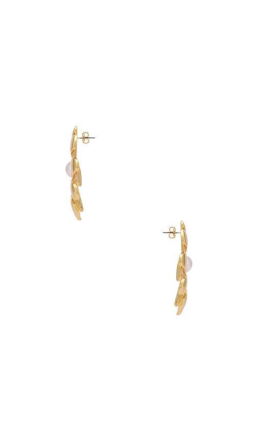 Floral Earrings Product Image