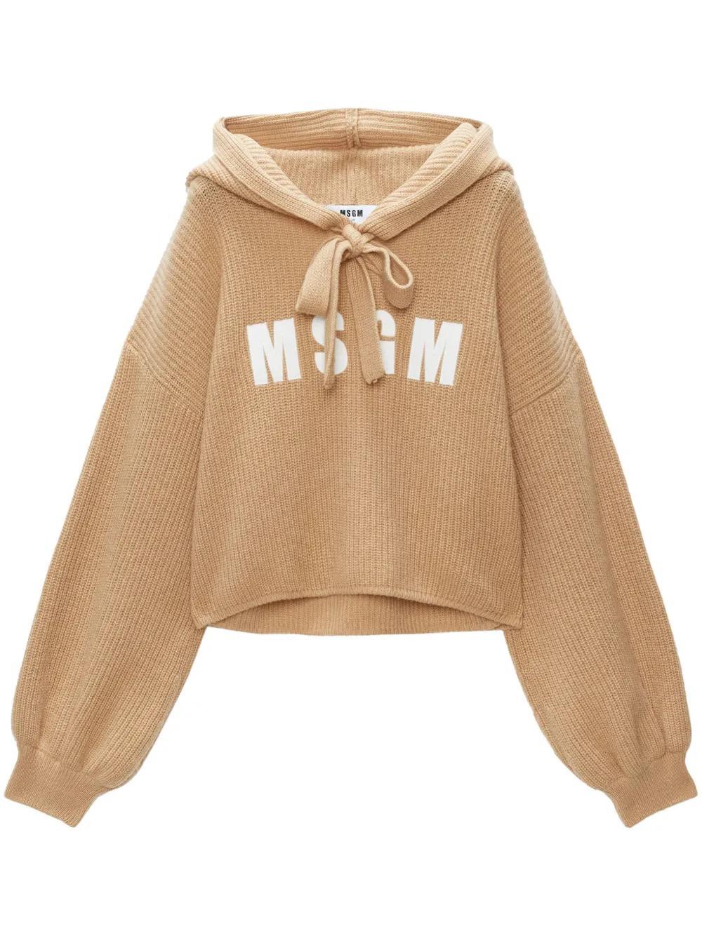 MSGM Logo-embroidered Hooded Jumper In Beige Product Image