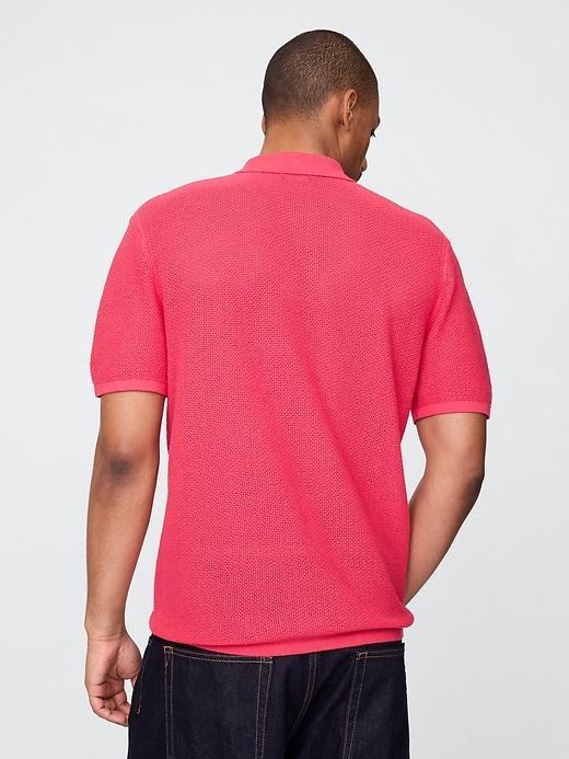 Textured Crochet Polo Shirt Product Image