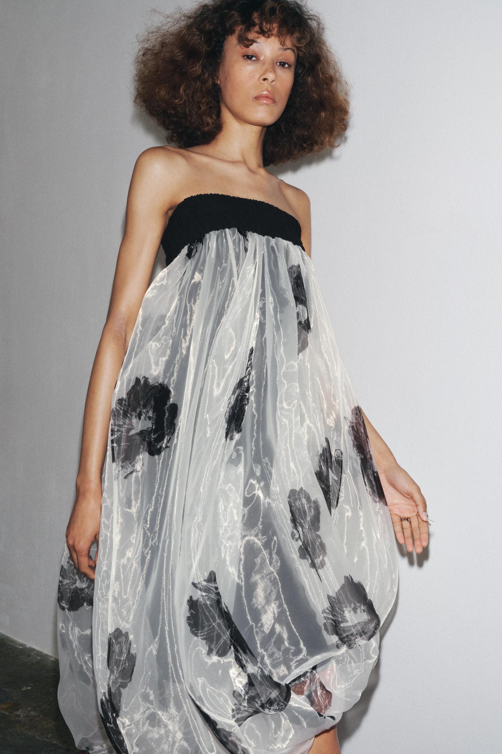 ZW COLLECTION PRINTED ORGANZA DRESS Product Image