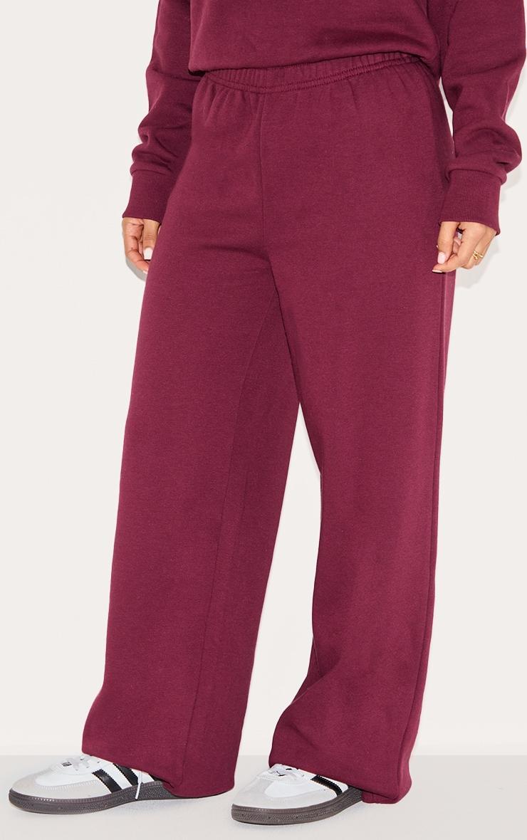 Petite Burgundy Straight Leg Sweatpants Product Image