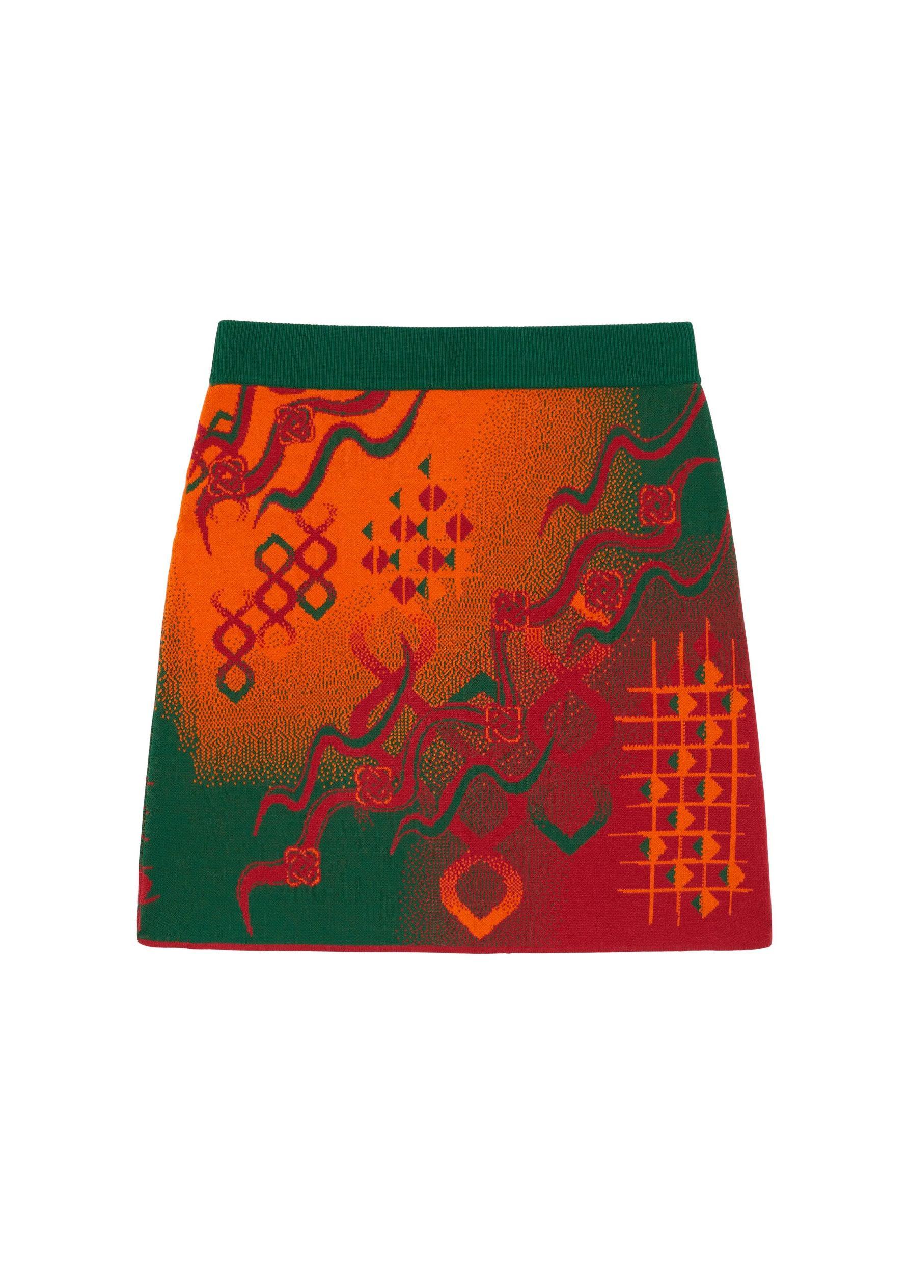 Laili Knitted Mini Skirt Female Product Image