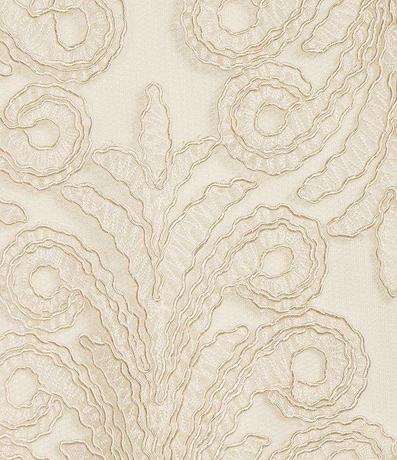 Tadashi Shoji Bateau Illusion Neck Corded Lace Bodice Mixed Media Gown Product Image