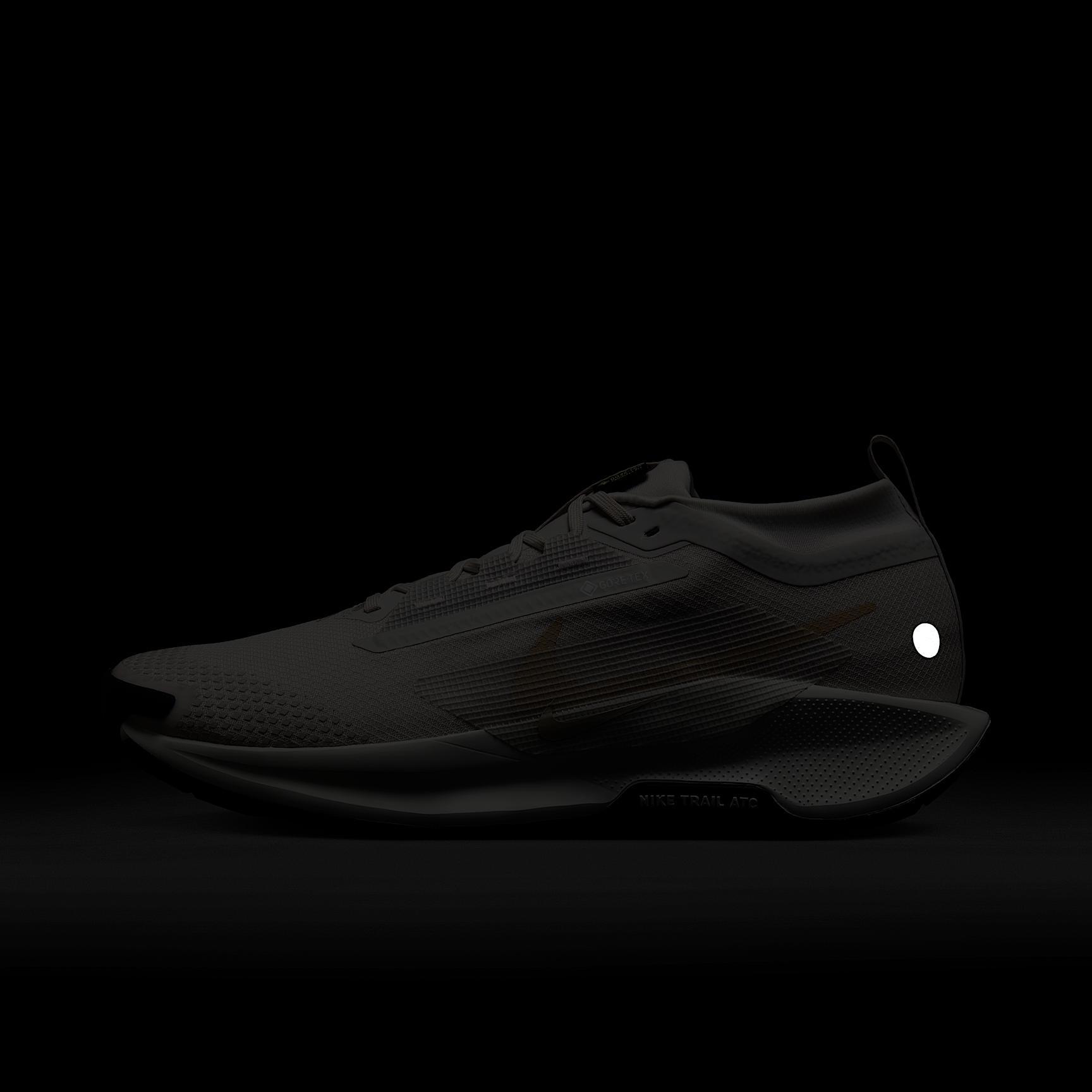 Nike Men's Pegasus Trail 5 GORE-TEX Waterproof Trail Running Shoes Product Image