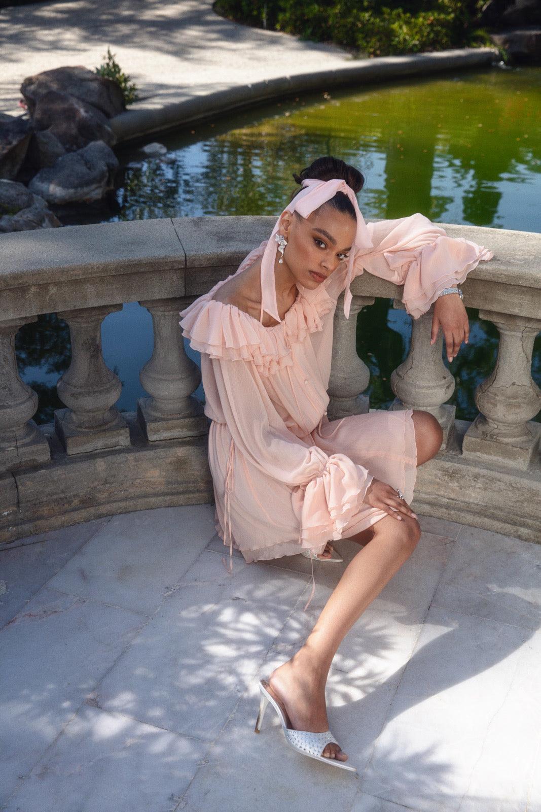 Anika Dress (Pink) (Final Sale) Product Image