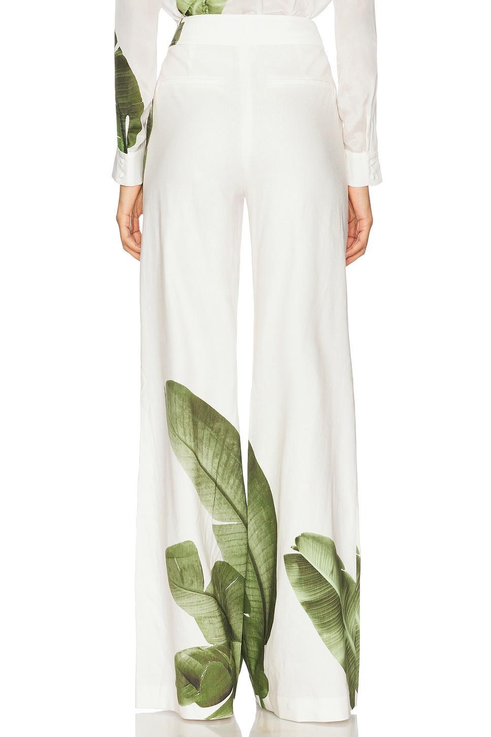 Dylan Pant Alice + Olivia Product Image