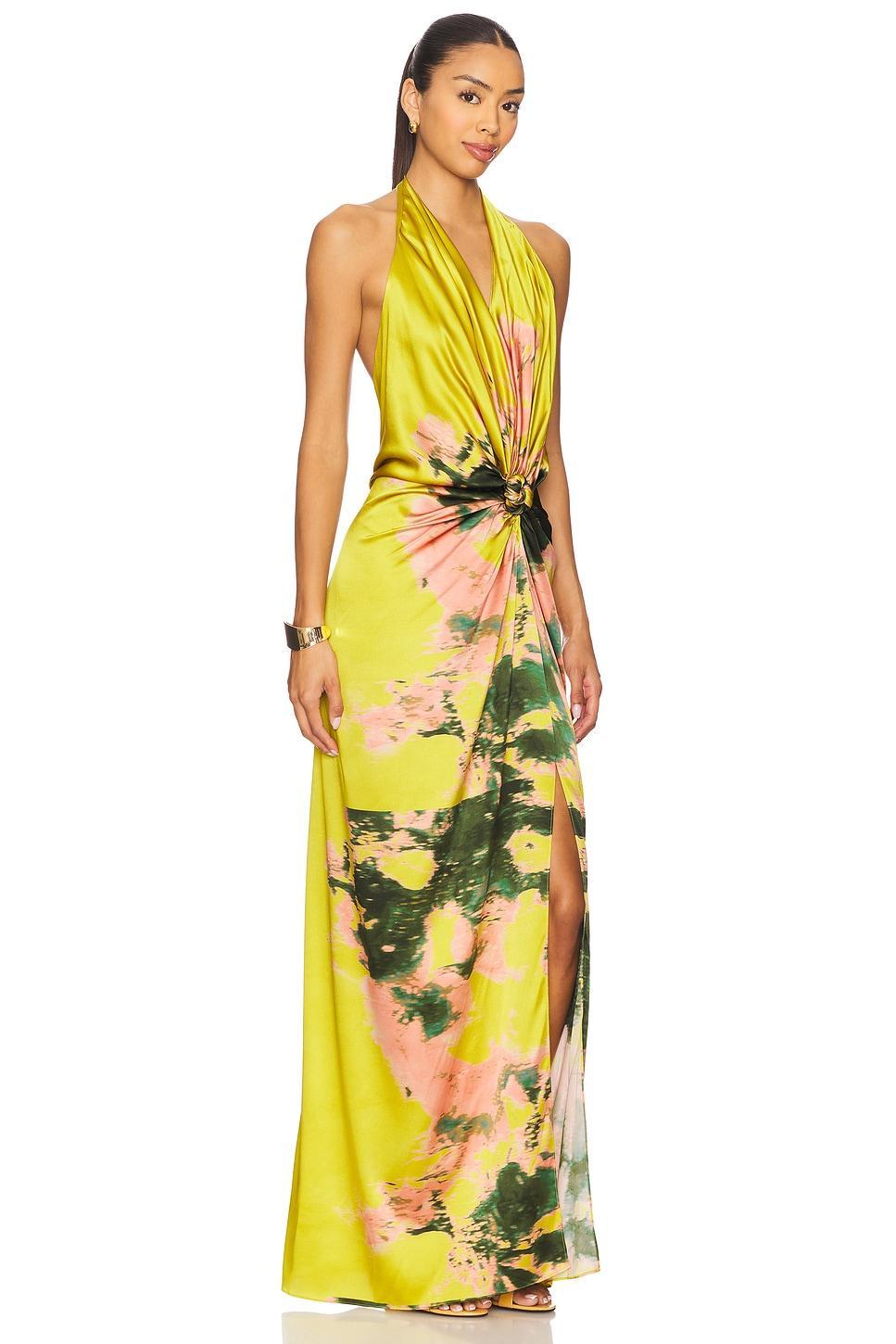 Jazmin Dress Product Image