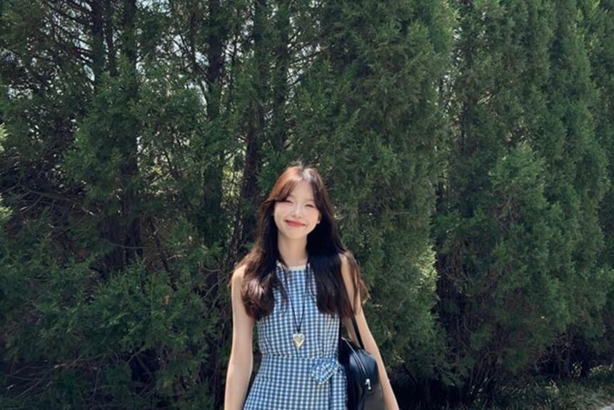 Sleeveless Gingham Bow Mini A-Line Dress Product Image
