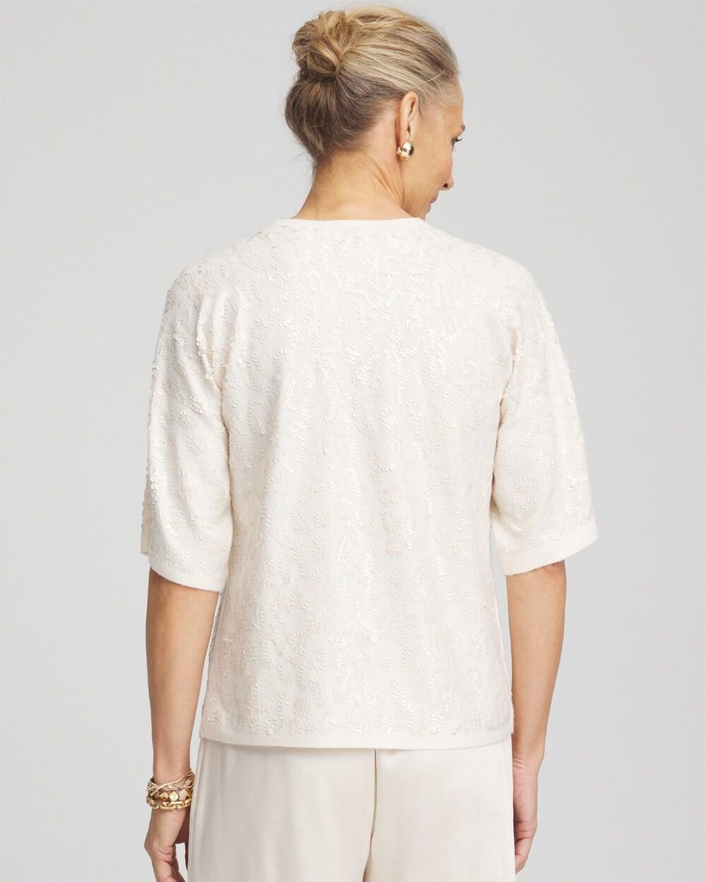 Short Sleeved Sequin Pullover Sweater Product Image