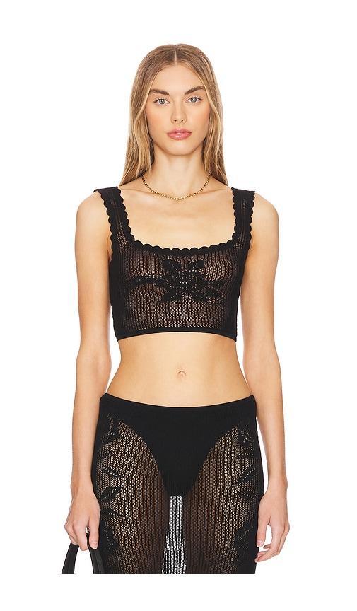 Toshi Crop Top LOBA Product Image