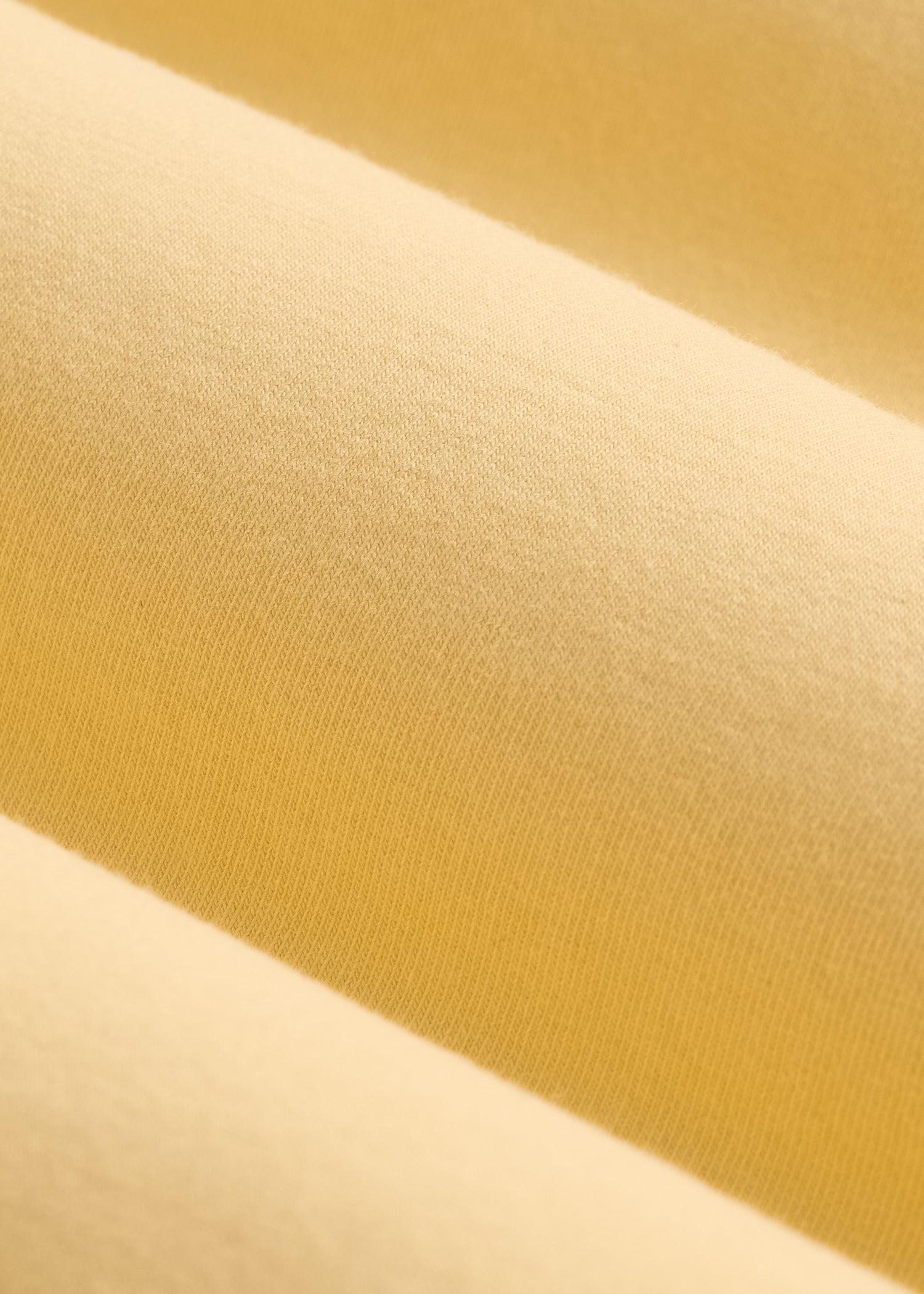 The Essential MODERN-FIT V-Neck Tee for Tall Men in Lemon Drop Product Image